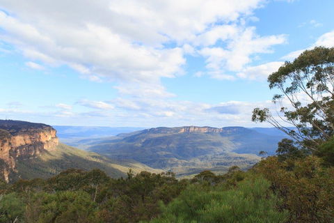 Dingo Travel - Sunshine Coast Guide 1