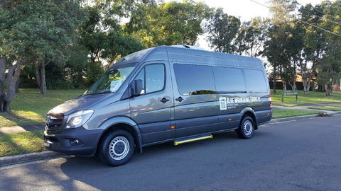 Dingo Travel - Sunshine Coast Guide 2