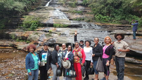 Dingo Travel - Sunshine Coast Guide 3
