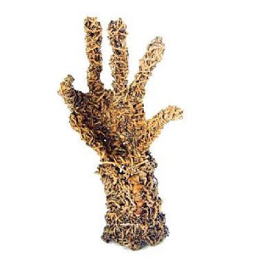 Coo-ee Aboriginal Art Gallery - Sunshine Coast Guide 0