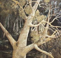 Ku-Ring-Gai Art Centre  Gallery - Sunshine Coast Guide