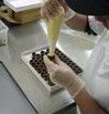 Fremantle Chocolate Pty Ltd - Sunshine Coast Guide 1
