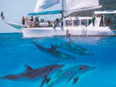 Imagine Cruises - Sunshine Coast Guide 2