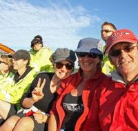 Byron Bay Whale Watching - Sunshine Coast Guide