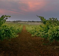 Wine Class - Sunshine Coast Guide