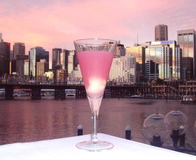 Cohibar - Sunshine Coast Guide 0