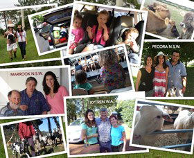 The NSW Cheese Tour - Sunshine Coast Guide 0