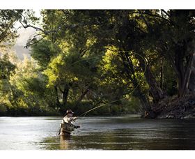 Fly Fishing Tumut - Sunshine Coast Guide 1