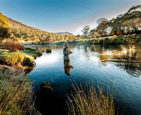 Fly Fishing Tumut - Sunshine Coast Guide 0