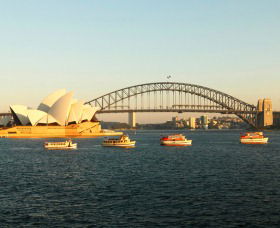 Rosman Cruises - Sunshine Coast Guide 1