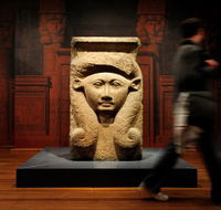 Nicholson Museum - Sunshine Coast Guide