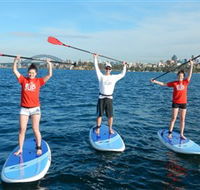 Sydney Scenic SUP - Stand Up Paddle Tours - Sunshine Coast Guide