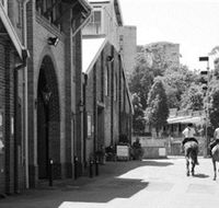 Centennial Stables - Sunshine Coast Guide