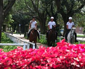 Centennial Parklands Horse Ride - Sunshine Coast Guide 1