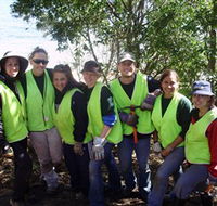 Conservation Volunteers Australia - Sydney - Sunshine Coast Guide