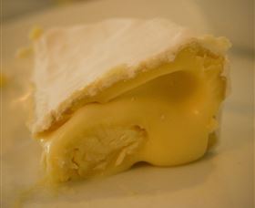 The Cheesemaking Workshop Sydney - Sunshine Coast Guide 4