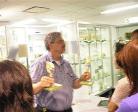 Museum Of Human Disease - Sunshine Coast Guide 3