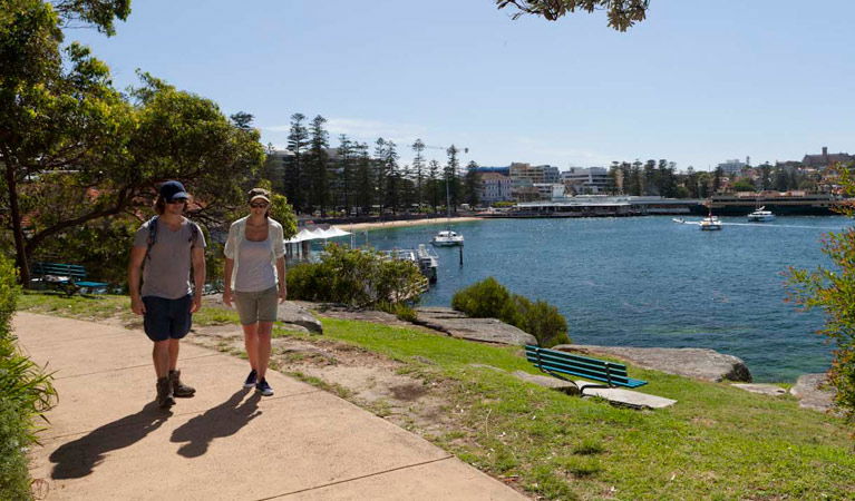 Australia Square NSW Sunshine Coast Guide