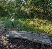 Browns Forest loop trail - Sunshine Coast Guide