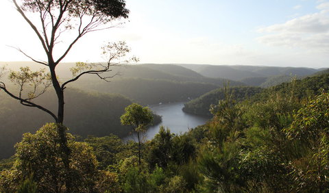 Barnetts Lookout - Sunshine Coast Guide 1