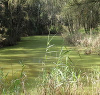 Second Ponds Creek walk - Sunshine Coast Guide