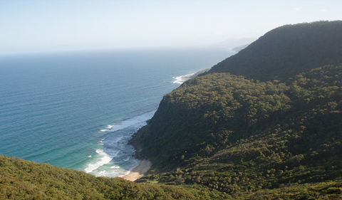 Palm Jungle Loop Track - Sunshine Coast Guide 1