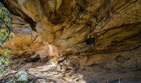 Marramarra National Park - Sunshine Coast Guide 0