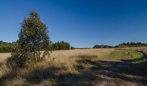 Scheyville Horse Riding Trails - Sunshine Coast Guide 0