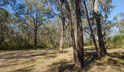 Scheyville Horse Riding Trails - Sunshine Coast Guide 1
