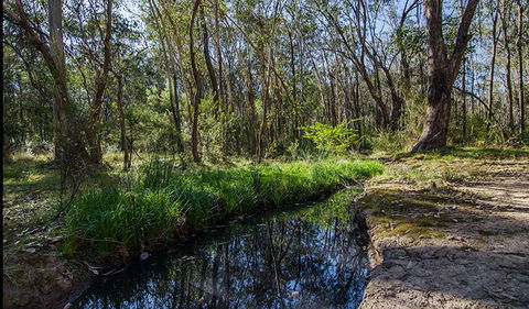 Scheyville Horse Riding Trails - Sunshine Coast Guide 2