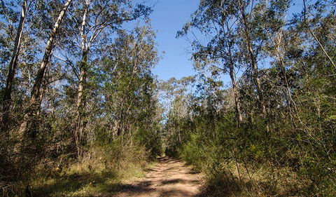 Scheyville Horse Riding Trails - Sunshine Coast Guide 3