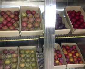 Canoelands Orchard - Sunshine Coast Guide 1
