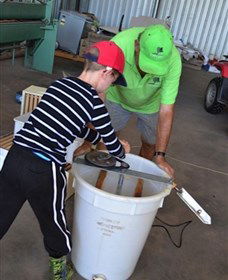 Canoelands Orchard - Sunshine Coast Guide 2