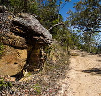 Canoelands Ridge walking track - Sunshine Coast Guide