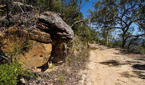Canoelands Ridge Walking Track - Sunshine Coast Guide 0