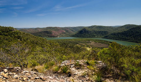 Canoelands Ridge Walking Track - Sunshine Coast Guide 3