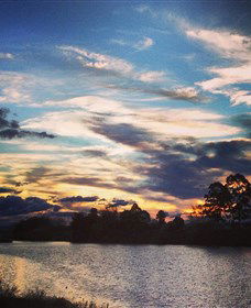 Governor Phillip Park - Sunshine Coast Guide 0
