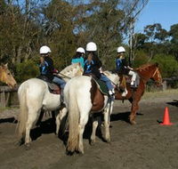 Darkes Forest Riding Ranch - Sunshine Coast Guide