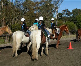 Darkes Forest Riding Ranch - Sunshine Coast Guide 0