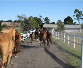 Darkes Forest Riding Ranch - Sunshine Coast Guide 1