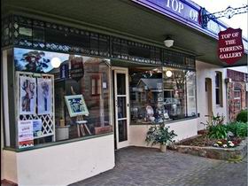 Top Of The Torrens Gallery Incorporated - Sunshine Coast Guide 0