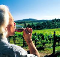 Ashton Hills Vineyard - Sunshine Coast Guide