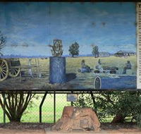 Black Stump