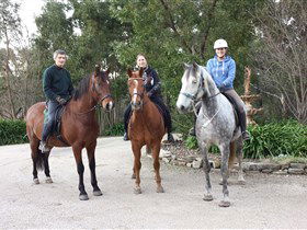Academy Of Dressage - Sunshine Coast Guide 0