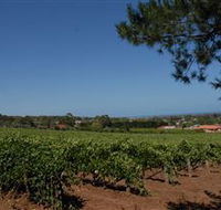 Grancari - Sunshine Coast Guide