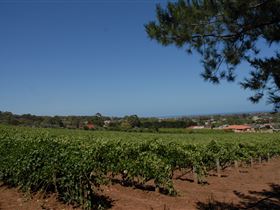 Grancari - Sunshine Coast Guide 0