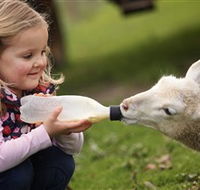 Hahndorf Farm Barn - Sunshine Coast Guide