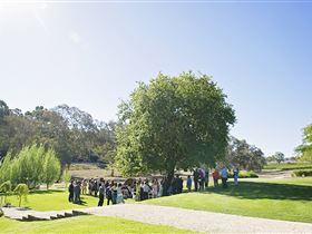 Howard Vineyard - Sunshine Coast Guide 1