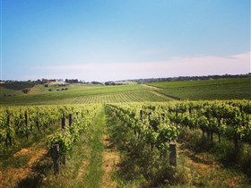 Adelaide Winemakers - Sunshine Coast Guide 0