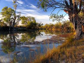 Murray River National Park - Sunshine Coast Guide 0